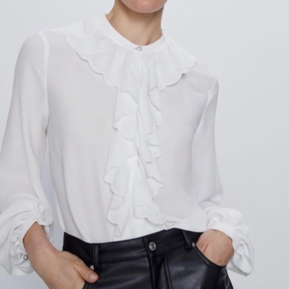Zara Ruffled Embroidered Sheer Blouse M